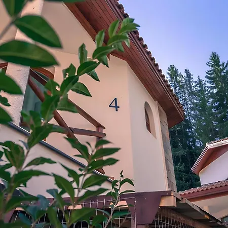 форте بامبوروفو