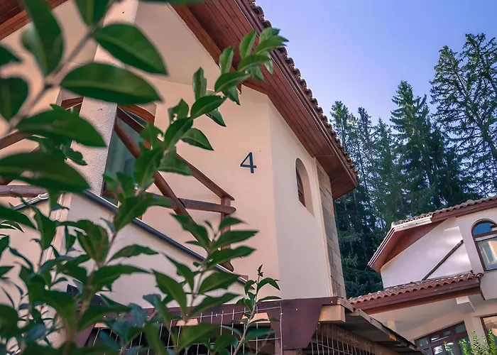 форте بامبوروفو